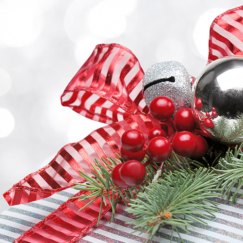 Поздравление с Новым годом от компании X-SKI