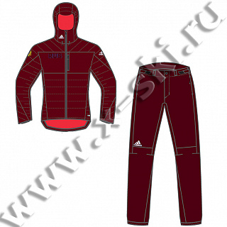 Костюм утепленный мужской ADIDAS ARTIC M